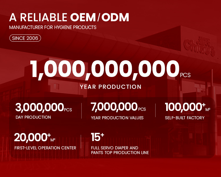 chiaus luiers vervaardiger met 'n hoë produksie waarde
