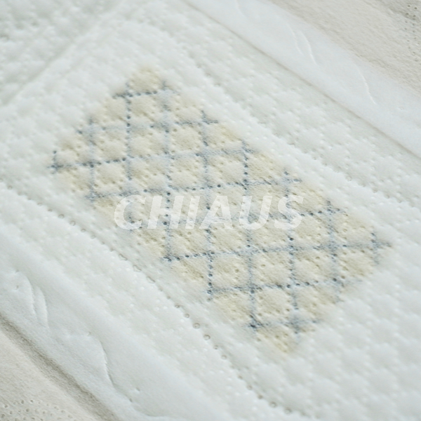 Custom na Functional Chip Sanitary Pad